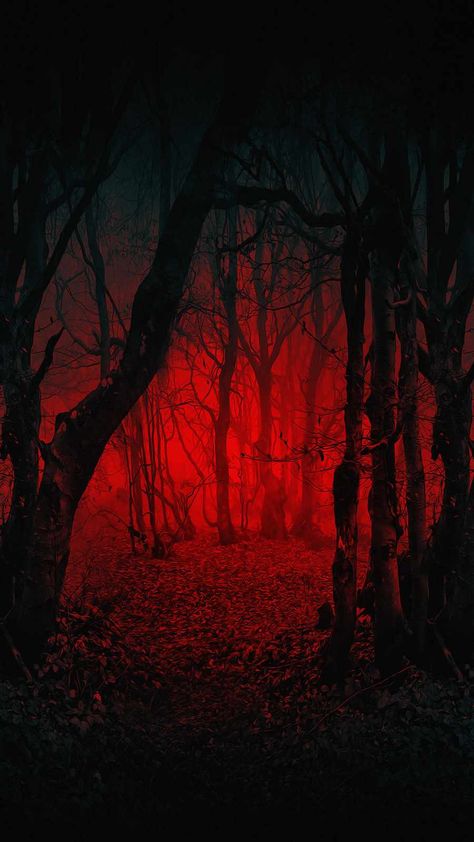 Scary Forest IPhone Wallpaper - IPhone Wallpapers : iPhone Wallpapers Creepy Ipad Wallpaper, Halloween Wallpaper Realistic, Spooky Forest Background, Vampire Background Aesthetic, Hell Aesthetic Red, Red Creepy Aesthetic, Red Spooky Aesthetic, Demon Asethic, Creepy Forest Background