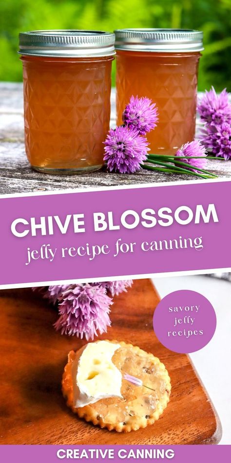 Savory Chive Blossom Jelly: Canning for Beginners - If you're looking for a unique and flavorful twist on your traditional home canning recipes, then you have to try making chive blossom jelly. This savory jelly is made with fresh chive flowers and is perfect for capturing the flavors of summer. Not only does it look beautiful, but it's also incredibly easy and fun to make, and you can use it as a condiment, salad topping, gift, or even just snack on it straight from the jar! Savory Jam Recipes For Canning, Flower Jelly Recipes, Herb Jelly Recipes, Unique Jelly Recipes, Unique Jams And Jelly Recipes, Chive Blossom Uses, Jams And Jelly Recipes, Chive Flowers Recipe, Canning Jelly Recipes