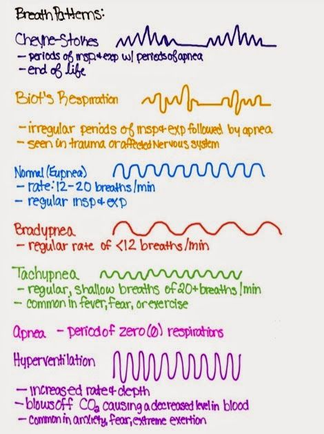 Breath Patterns | Cheyne-Stokes, Biot's Respiration, Eupnea, bradypnea, tachypnea, apnea, hyperventilation | Truth About Nursing School Paramedic School, Nursing Information, Nursing Assessment, School Nursing, Nursing Mnemonics, Nursing School Survival, Respiratory Care, Vet School, Respiratory Therapy