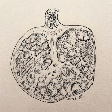 Pen and paper freehand drawing of the best fruit to ever exist. I love pomegranates <3 (also go follow @anthemrynmusic on instagram this is their profile photo) Pomagranet Drawing Reference, How To Draw A Pomegranate, Rotting Pomegranate, Pomegranate Drawings, Pomogranette Drawing, Pomegranate Drawing Simple, Pomegranate Doodle, Pomegranate Sketch, Brain Drawings