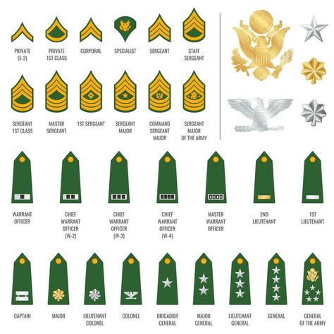 Military ranks shoulder badge, army soldier straps Military Ranks Army, British Army Regiments, Chief Officer, Army Ranks, Military Ranks, Master Sergeant, Lieutenant General, Staff Sergeant, Army Soldier