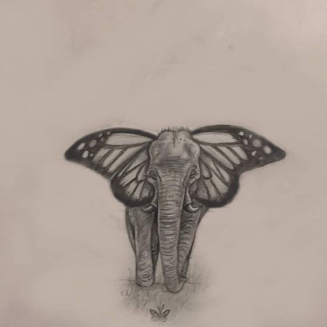 Elephant Wings Tattoo, Girly Elephant Tattoo, Elephant Tattoo On Back, Tattoos That Go With Butterflies, Butterfly And Elephant Tattoo, Butterfly Elephant Tattoo, Elephant Tattoos With Butterflies, Elephant Tattoos Stencil, Elephant With Butterfly Tattoo