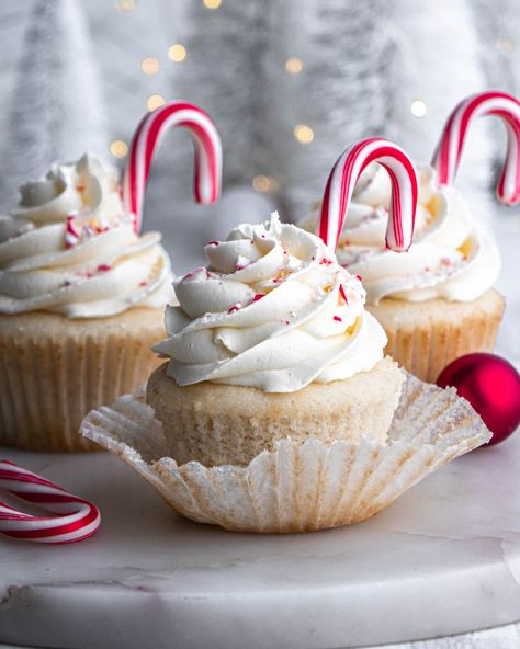 White Chocolate Peppermint Cupcakes - In Bloom Bakery Chocolate Peppermint Cupcakes, In Bloom Bakery, Bloom Bakery, Winter Cupcakes, Peppermint Cupcakes, Cheese Cupcake, Christmas Cupcakes Recipes, Cupcake Cream, White Chocolate Peppermint