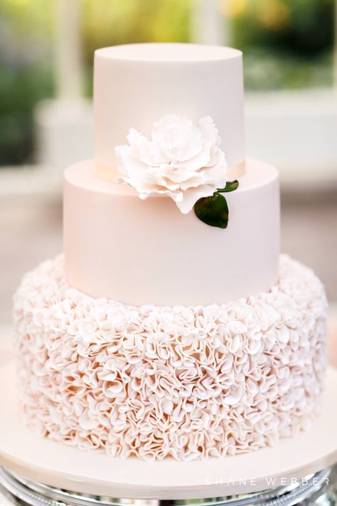 Wedding Cake Diy Decorating, Publix Wedding Cake, Diy Wedding Desserts, Wedding Cake Designs Simple, Three Tier Wedding Cake, Homemade Wedding Cake, Ruffle Wedding Cake, Quick Wedding, Square Wedding Cakes