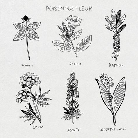 ✅CLICK THE LINK!⬆️Download these FREE Procreate brushes for poisonous flowers! Perfect for adding realistic detail to your illustrations. #procreate #brushes . #Poisonous_Flowers_Tattoo #Gargoyle_Character #Poison_Flowers #Sanrio_Amiibo_Cards Poisonous Botanical Illustration, Poisonous Flowers Drawing, Poison Flowers Tattoo, Poisonous Flowers Tattoo, Asap Tattoo, Gargoyle Character, Poison Flowers, Poison Tattoo, Flower Procreate