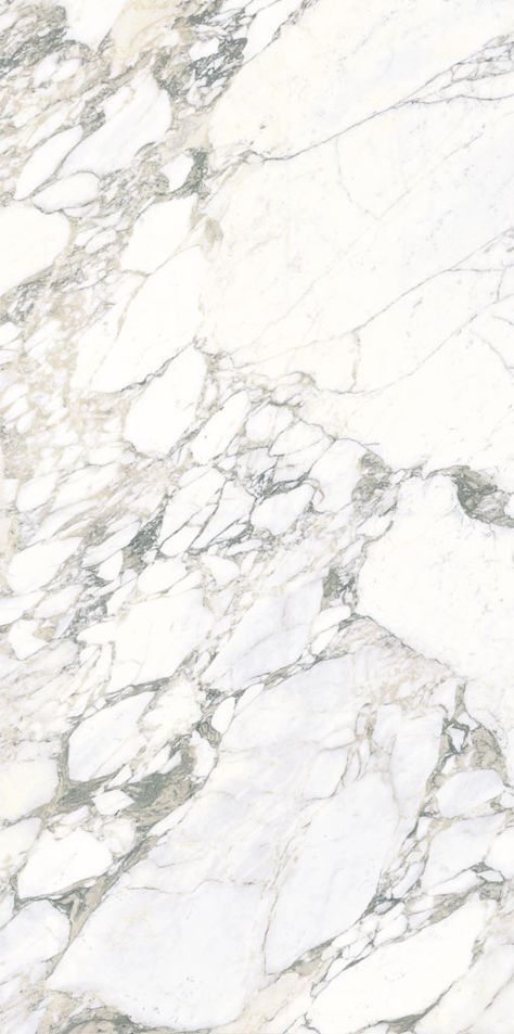 Arabescato Statuario Block A Marble Texture Seamless, Statuario Marble, Arabescato Marble, Indoor Tile, Material Textures, Materials And Textures, Stone Texture, Marble Tiles, Marble Texture