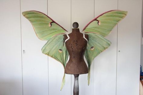 Lunar Moth Wings, Realistic Wings, Ren Faire Outfits, Cosplay Wings, Ren Faire Costume, Lunar Moth, Fairy Cosplay, Moth Wings, Fair Outfits