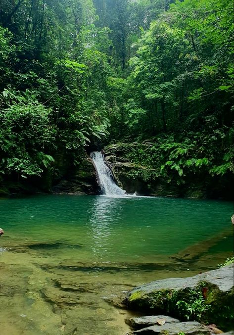 Island Life With Friends, Green Island Aesthetic, Green Vacation Aesthetic, Hawaii Green Aesthetic, Island Astethic, Tropical Nature Aesthetic, Island Core Aesthetic, Island Nature Aesthetic, Island Forest Aesthetic