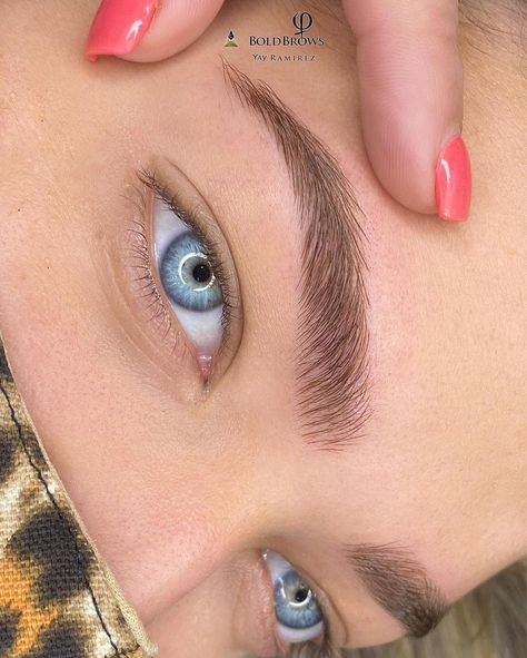 Microblading Eyebrows Hair Strokes, Straight Microbladed Eyebrows, Feather Brows Microblading, Eye Brow Inspiration, Fluffy Brows Microblading, Bushy Brows Natural Thick Eyebrows, Micro Bladed Brows, Microblading Eyebrows Natural Look, Fluffy Microbladed Brows