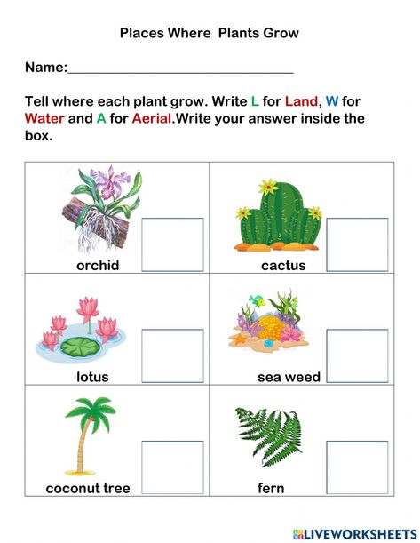 Plants Habitat Worksheet, Body Parts For Kids, Plants Grown In Water, Plants Worksheets, States Of Matter Worksheet, Vertebrates And Invertebrates, Living And Nonliving, Worksheet For Kindergarten, Matter Worksheets