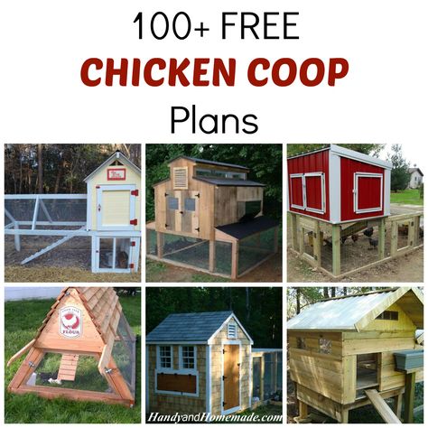 100+ Free DIY Chicken Coop Plans And Ideas | Handy & Homemade Free Diy Chicken Coop Plans, Chicken Coop Diy, Chicken Coop Plans Free, Chicken Coop Kit, Portable Chicken Coop, Chicken Coup, Chicken Tractors, Diy Chicken Coop Plans, Coop Design