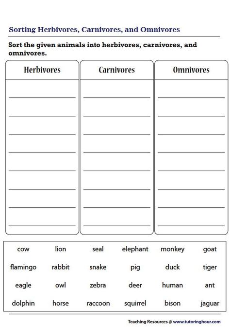 Omnivores Carnivores Herbivores, Sorting Animals Worksheet, Herbivores Animals Worksheet, Omnivore Carnivore Herbivore Worksheet, Carnivore Omnivore Herbivore Activities, Carnivore Herbivore Omnivore Worksheets, Science For Kids Worksheets, Herbivore Carnivore Omnivore Activities, Herbivores Animals