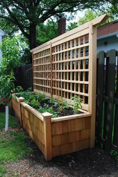 Explore Field Outdoor Spaces' photos on Flickr. Field Outdoor Spaces has uploaded 782 photos to Flickr. Huerta En Casa Ideas, Making Raised Garden Beds, Planter Trellis, Fence Planters, Garden Boxes Raised, Jardim Diy, Vegetable Garden Raised Beds, Building A Raised Garden, Garden Privacy