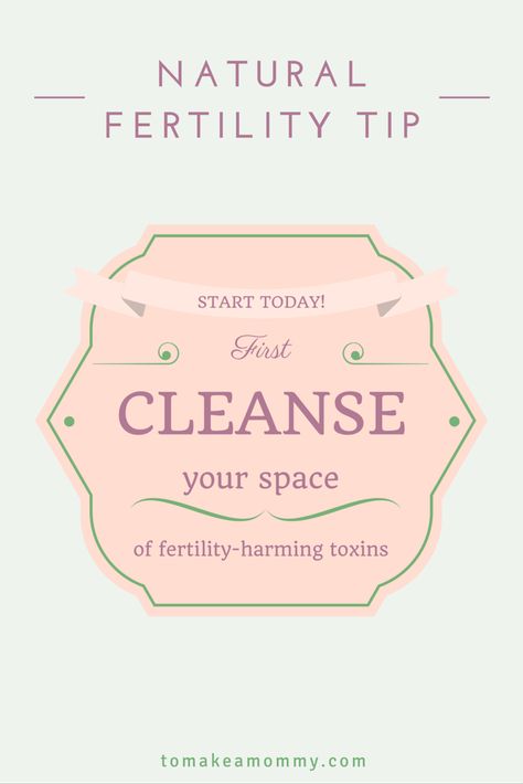 Trying to get pregnant? Be sure to start by eliminating any chemicals and toxins that might reduce fertility or cause infertility!  Here's an overview guide of what to avoid and how! Fertility Products, Getting Pregnant Tips, Fertility Tips, Best Prenatal Vitamins, Personal Care Routine, Cervical Mucus, Fertility Foods, Endocrine Disruptors, Female Fertility