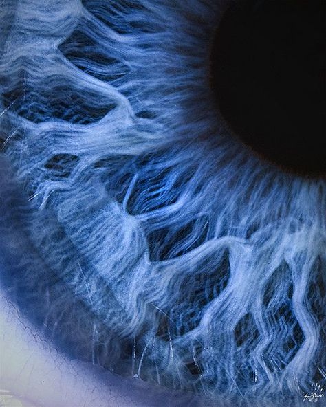 Macro Photography Eyes, Macro Fotografie, Blue Eyes Aesthetic, Photographie Art Corps, Close Up Art, Foto Macro, Macro Photography Nature, Iris Art, Eye Close Up