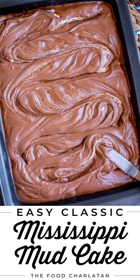 Chocolate Mud Cake Recipe Easy, Recipe For Mississippi Mud Cake, Missisipi Mud Cake, Missippi Mud Cake Easy, Mississippi Mud Brownies With Marshmallow Cream, Mississippi Mud Pie Cake, Mississippi Mud Sheet Cake, Ms Mud Cake, Easy Mississippi Mud Cake