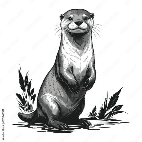 Otter in Water Hand Drawn Illustration Otter Drawing Sketches, Small Otter Tattoo, Otter Sketch, Cartoon Otter, Otter Cartoon, Otter Drawing, Otter Tattoo, Black Pen Drawing, Otter Illustration