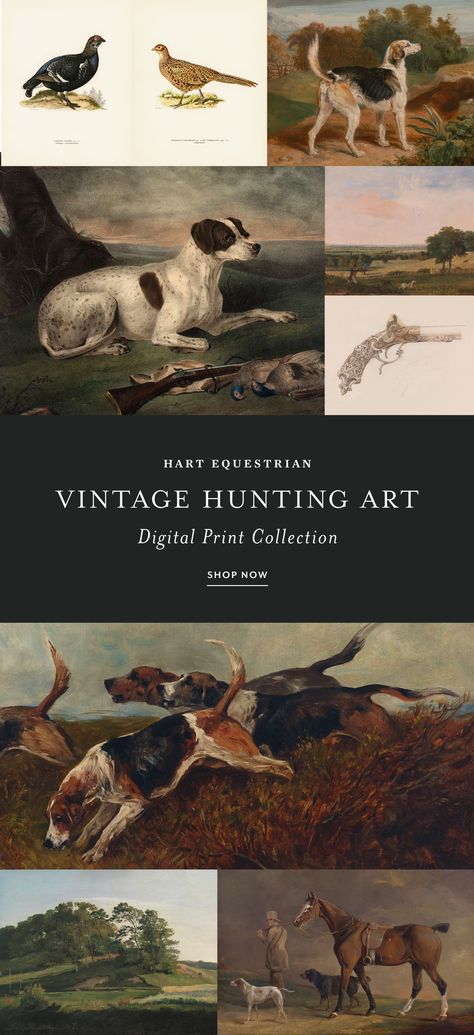 Vintage Hunting Art Print Set | Masculine Office Decor Rustic Hunting Cabin, Masculine Office Decor, Masculine Aesthetic, Masculine Office, Hunting Cabin Decor, Audubon Prints, Masculine Art, Vintage Hunting, Hunting Room