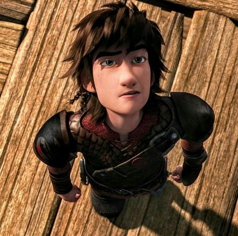 Dragon Pfp, Hiccup Dragon, Httyd Hiccup, Everything Has Changed, Httyd 2, Train Dragon, Dragon Icon, Httyd 3, Hiccup And Toothless