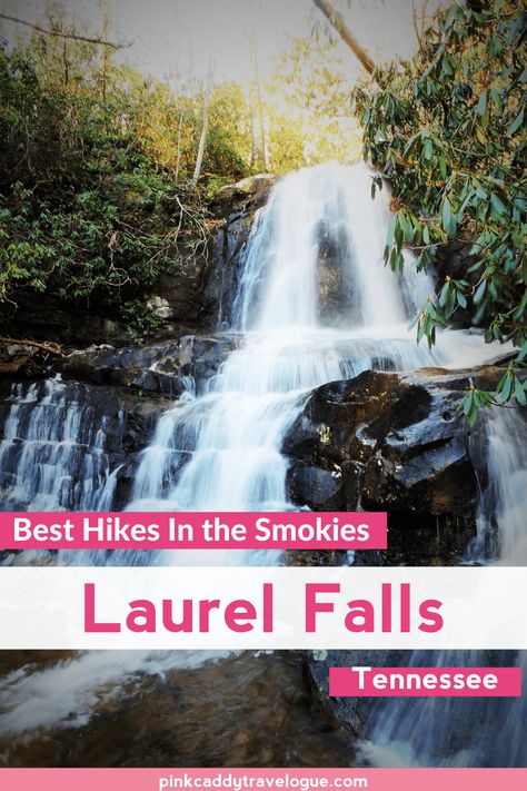 The Laurel Falls Hike in Great Smoky Moutains National Park is one of the park's most popular. It's relatively short and easy but very rewarding, and can be done by just about anyone! Read on for everything you need to know about this great hike. #tennessee #greatsmokymoutains #waterfalls #hiking #laurelfalls Laurel Falls Tennessee, Laurel Falls Great Smoky Mountains, Tennessee Attractions, Tennessee Waterfalls, Mountain Trip, Laurel Falls, Smokey Mountain, Mountains Travel, Tennessee Vacation