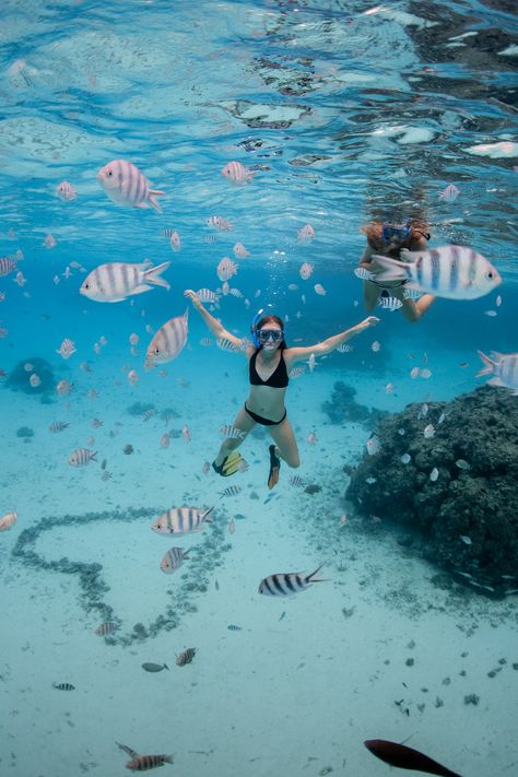 Bora Bora Restaurant, Bora Bora Snorkeling, Ocean Life Aesthetic, Bora Bora Aesthetic, Bora Bora Pictures, Swimming With Fish, Beach Underwater, Summer Job, Swimming In The Ocean