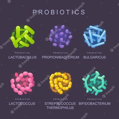 Beneficial bacteria probiotics microorganisms for human health Premium Vector Bacteria Types, Microscopic Cells, Modern Logotype, Dna Molecule, Medical Background, Lactobacillus Acidophilus, Beneficial Bacteria, Medical Illustration, Modern Logo Design