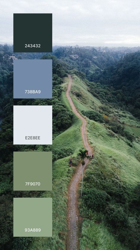 A good colors that work together in a color palette:
243432
738BA9
E2E8EE
7F9070
93A889 Moss Green Colour Palette, Pantone Interior Design, Bali Nature, Earth Colour Palette, Color Palette Interior Design, Colour Pallets, Hex Color Palette, House Color Palettes, Color Schemes Colour Palettes