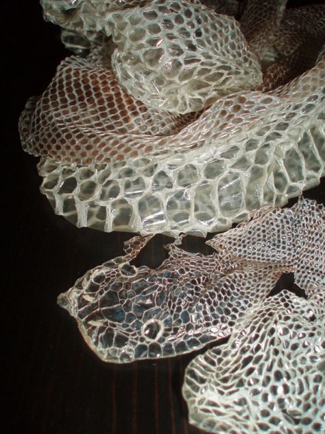 Snake Shedding, Snake Art, Skin Art, Texture Design, Texture Art, Snakes, Scales, Reptiles, Snake Skin