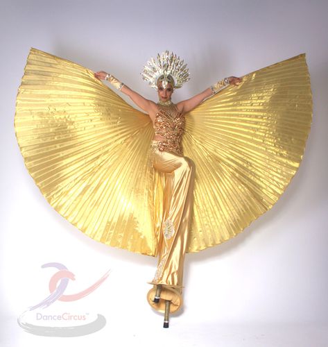 Sun King Costume, Goddess Of The Sun Costume, Sun Goddess Costume Dresses, Sun Costume Women, Concert Bodysuit, Sun Goddess Costume, Sun Costume, Stilt Costume, Moon Costume