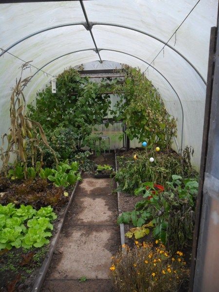 Serre Diy, Flower Tunnel, Dream Greenhouse, Poly Tunnel, Diy Greenhouse Plans, Best Greenhouse, Planting Ideas, Greenhouse Plans, Veg Garden