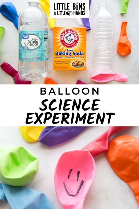 Inflate A Balloon With Baking Soda, Balloon Experiment Baking Soda, Blow Up Balloon With Baking Soda, Science Experiments With Balloons, Baking Soda Balloon Experiment, Puffer Fish Balloon Experiment, Vinegar And Baking Soda Experiment, Balloon Science Experiments For Kids, Balloon Experiments For Kids