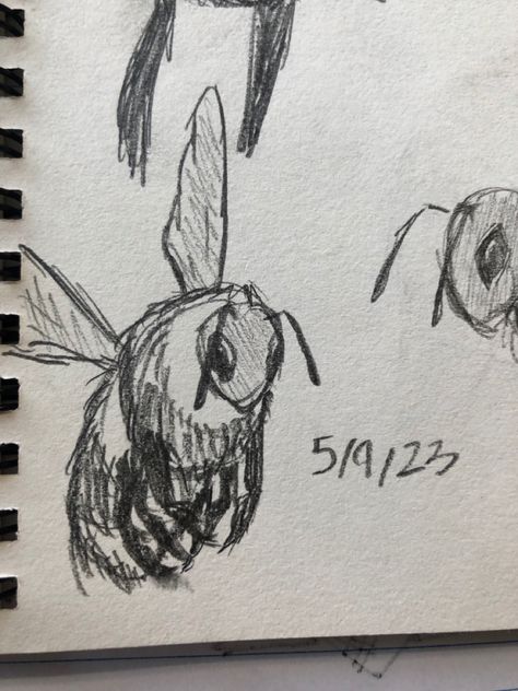 Bee Drawing Reference, Bug Drawing Reference, Human Bee Drawing, Bee Sketch Cute, Bug Sketches, Bee Pencil Sketch, Bug Aethstetic, Insect Study Drawing, Fuzzy Bee Drawing