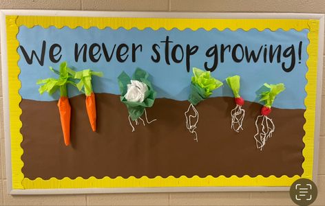 Farming Bulletin Board Ideas, Farmers Market Classroom Door, Farmers Market Bulletin Board, Farmers Market Classroom Theme, Agriculture Bulletin Board Ideas, Garden Bulletin Board Ideas, Vegetable Bulletin Board, Planting Board, Garden Classroom Theme