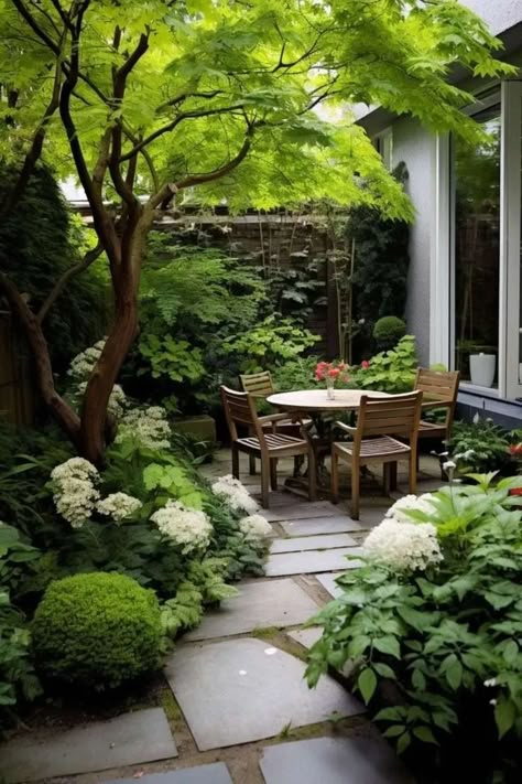 Garden Design Courtyard, Terrace Garden Landscaping, Half Grass Backyard Ideas, Colonial Garden Ideas, Suburban Garden Design, Landscaped Backyards, Townhouse Courtyard, Outdoor Landscaping Ideas, Courtyard Garden Ideas