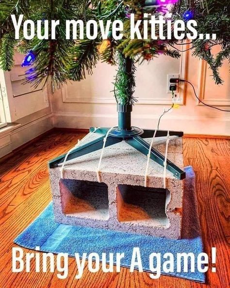 These Holiday Cat Memes Will Get You In The Christmas Spirit Christmas Cat Memes, Cat Proof Christmas Tree, Christmas Tree Pictures, Cat Proofing, Cat Christmas Tree, Kitten Photos, Cat Holidays, Cute Animal Drawings, Cat Owners