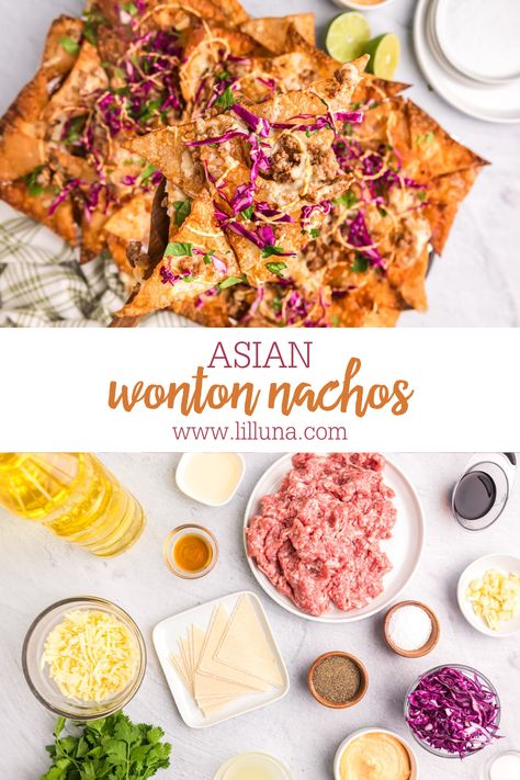 Won Ton Nachos Recipe, Won Ton Nachos, Asian Nachos Wontons, Wonton Nachos Asian, Wonton Nachos Recipe, Bulgogi Nachos, Asian Nachos, Wonton Nachos, September Meals