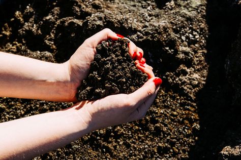 How to Use Grave Dirt in Pagan Magic and Rituals Graveyard Dirt, Hedge Witchery, Haunted Graveyard, Pagan Magic, Folk Magic, Love Magic, Magical Herbs, Witchcraft For Beginners, Magic Spells