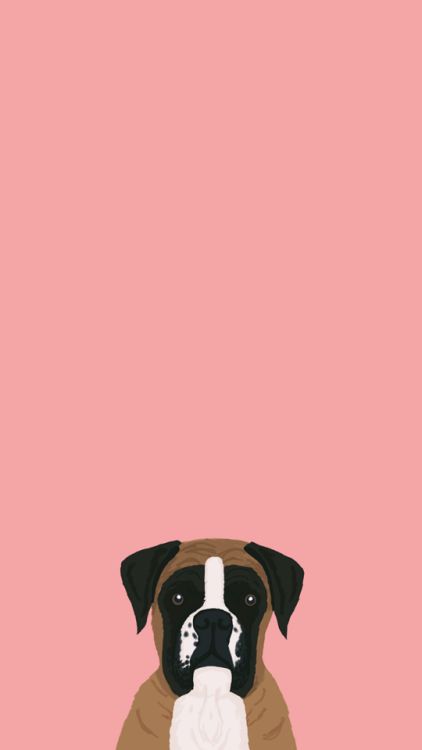 Cute Iphone Wallpaper Tumblr, Handmade Dog Collars, Wallpaper Tumblr, Video Games For Kids, Dog Wallpaper, Dog Illustration, Winter Dog, Handmade Dog, Boxer Dogs