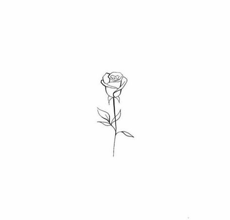 rose Rose Petal Tattoo, Robin Sketch, Tattoos Flowers, Clear Phone Case Design, Yorkshire Rose, Text Tattoo, Rose Drawing, Art Tattoos, Simplistic Tattoos