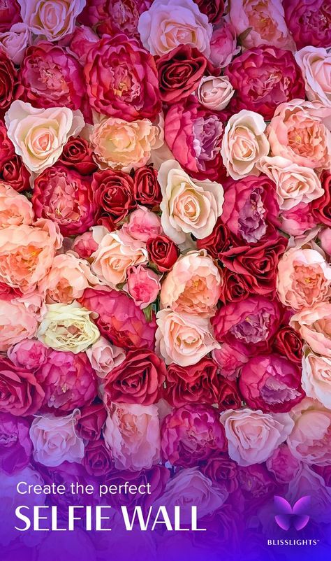 create the perfect selfie wall, flower wall backdrop Selfie Wall Ideas, Selfie Wall, Diy Photo Backdrop, Galaxy Lights, Perfect Selfie, Event Backdrop, Field Of Dreams, Wall Ideas, Diy Photo