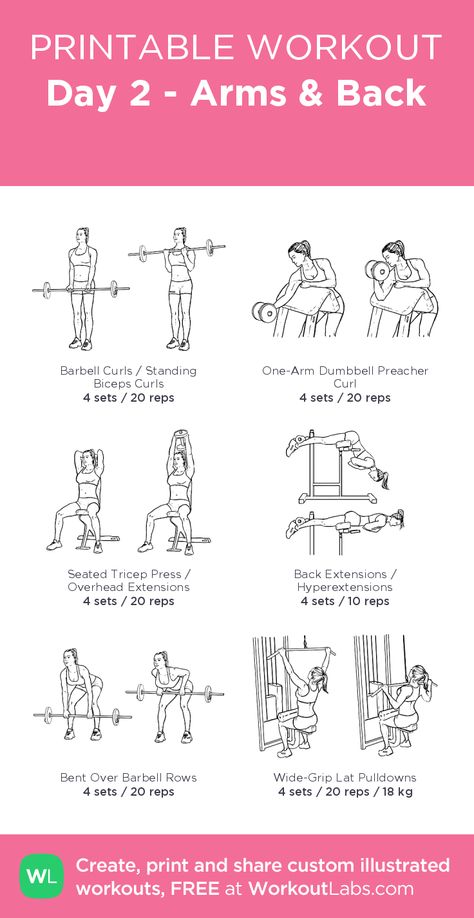 Day 2 - Arms & Back  – illustrated exercise plan created at WorkoutLabs.com • Click for a printable PDF and to build your own #customworkout Workoutlabs Women, Gym Weekly Workout Plan, Planet Fitness Workout Plan, Workout Videos For Men, Gym Workouts Machines, Leg Workouts Gym, Workout Labs, Fitness Studio Training, Printable Workout