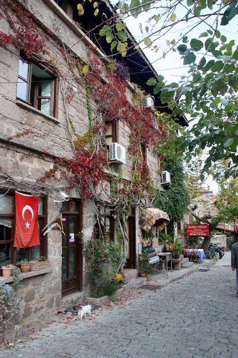 Village houses, Behramkale (ancient Assos), Turkey Assos Turkey, Manifest House, Visiting Turkey, Historical Houses, Turkish Flag, Pretty Houses, Visit Turkey, Luxurious Rooms, Castles Interior