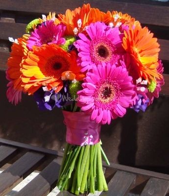 bouquet idea, bright colours Gerbera Wedding, Gerbera Bouquet, Colorful Bridal Bouquet, Bright Wedding Flowers, Best Wedding Colors, Bouquet Bride, Daisy Bouquet, Boda Mexicana, Gerber Daisies