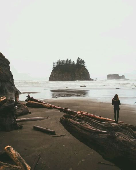 folklifestyle Mount Rainier National Park, Sea Witch, Pacific Northwest, Land Scape, Outdoors Adventure, The Great Outdoors, Trekking, Places To See, The Ocean