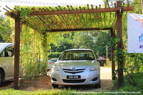 Wooden Carports, Garden Gates And Fencing, Pergola Carport, Pulau Pinang, Riverside House, Hillside Landscaping, Pergola Garden, Garden Arches, Garden Design Layout