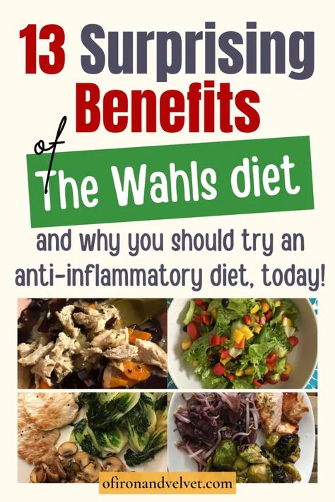 Whals Protocol Food Lists, Dr Terry Wahls Diet, The Wahls Protocol, Wahls Diet Recipes, Wahls Protocol Food List, Wahls Protocol Recipes, Multiple Sclerosis Diet, Paleo Diet Benefits, Wahls Diet