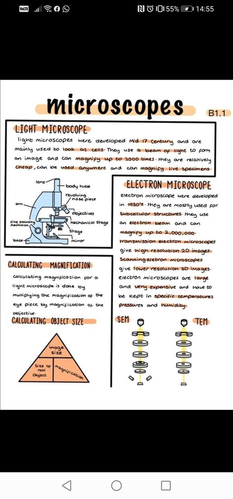 Microscope Notes, Biology Revision Gcse, Revision Template, Biology Topics, Biology Microscope, Microbiology Notes, Microbiology Study, Financial Apps, Science Revision