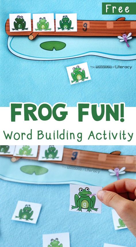 Try this free frog word work activity, a fun and simple way for kids to practice spelling, reading and writing. Frog Activities For Kindergarten, Frog Worksheets Preschool, Frog Art Preschool, Preschool Stations, Homeschool Themes, Spring Kindergarten Activities, Spring Learning Activities, Frog Classroom, Kindergarten Word Families