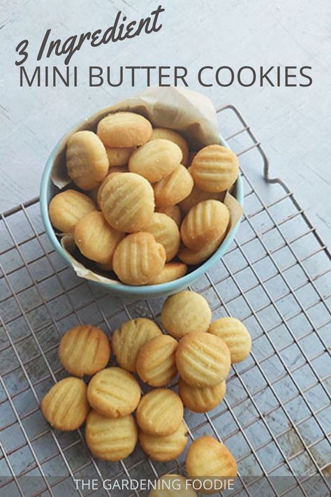 3 INGREDIENT MINI BUTTER COOKIES
Looking for bite sized cookies? Then I have you covered with my easiest ever, 3 ingredient mini butter cookies. Light, deliciously buttery and crisp, these make perfect cookie jar fillers, tea time treats or great to share as gifts. 3 Ingredient Buttery Shortbread Cookies, Easy Cookie Dough Recipes Baking, Butter Tea Cookies, Crunchy Shortbread Cookies, 3 Ingredient Butter Cookie Recipe, Confectioners Sugar Recipes, Easy Tea Time Treats, Butterless Cookies Recipes, Easy Tea Biscuits 3 Ingredients