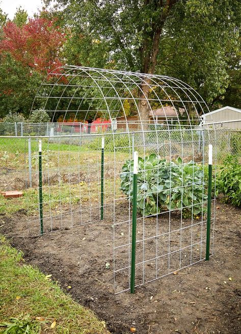 Bean plants climb and cover anything in their path, but can sometimes look messy and tangled. Try making this arched bean trellis for your garden to give them a structured path to follow for a tidier look. #beantrellis #landscaping #gardendesign #gardeningideas #bhg Bean Trellis, Plantarea Legumelor, Tanaman Indoor, Diy Garden Trellis, Tanaman Pot, Garden Arbor, Garden Arches, Garden Area, Veg Garden